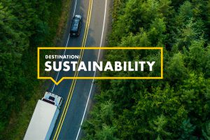 Road through forest with sustainability message, highlighting the journey toward more responsible business operations.